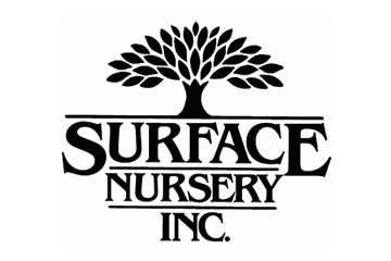 Surface Nursery