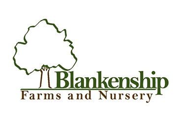 Blankenship Farms and Nursery