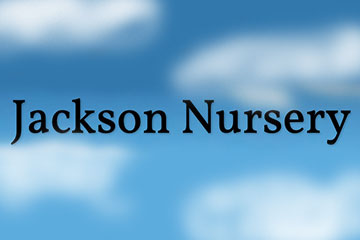 Jackson Nursery